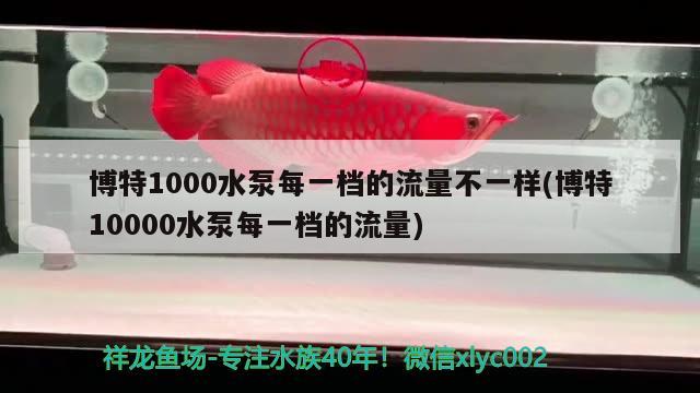 博特1000水泵每一檔的流量不一樣(博特10000水泵每一檔的流量) 博特水族