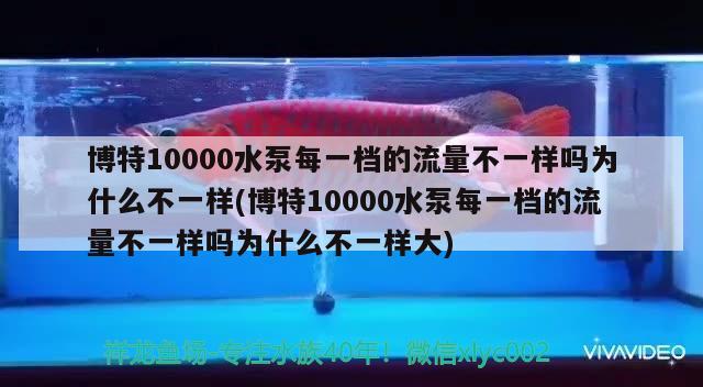 博特10000水泵每一檔的流量不一樣嗎為什么不一樣(博特10000水泵每一檔的流量不一樣嗎為什么不一樣大)