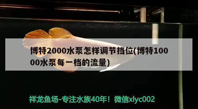 博特2000水泵怎樣調(diào)節(jié)擋位(博特10000水泵每一檔的流量)