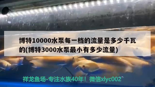 博特10000水泵每一檔的流量是多少千瓦的(博特3000水泵最小有多少流量)