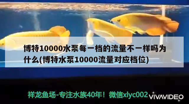 博特10000水泵每一檔的流量不一樣嗎為什么(博特水泵10000流量對應(yīng)檔位) 博特水族