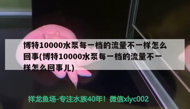 博特10000水泵每一檔的流量不一樣怎么回事(博特10000水泵每一檔的流量不一樣怎么回事兒) 博特水族