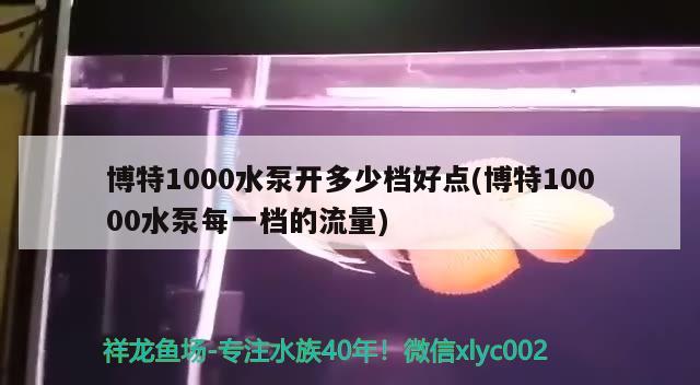 博特1000水泵開多少檔好點(diǎn)(博特10000水泵每一檔的流量) 博特水族