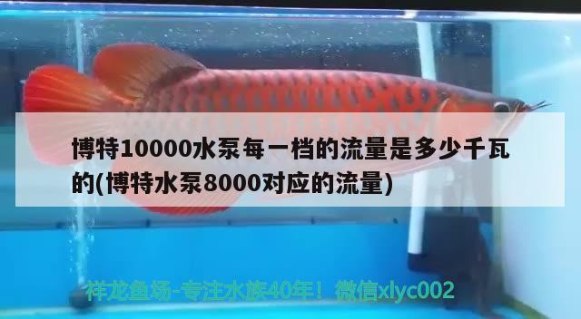 博特10000水泵每一檔的流量是多少千瓦的(博特水泵8000對應(yīng)的流量)