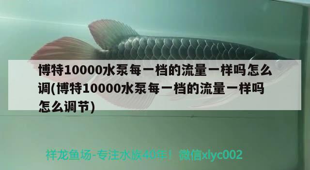 博特10000水泵每一檔的流量一樣嗎怎么調(diào)(博特10000水泵每一檔的流量一樣嗎怎么調(diào)節(jié))