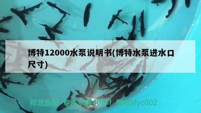 博特12000水泵說(shuō)明書(shū)(博特水泵進(jìn)水口尺寸) 博特水族