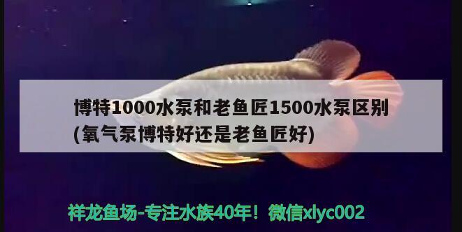 博特1000水泵和老魚(yú)匠1500水泵區(qū)別(氧氣泵博特好還是老魚(yú)匠好)