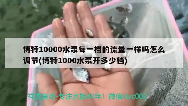 博特10000水泵每一檔的流量一樣嗎怎么調(diào)節(jié)(博特1000水泵開(kāi)多少檔)