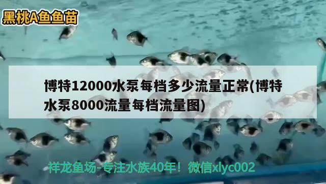 博特12000水泵每檔多少流量正常(博特水泵8000流量每檔流量圖)