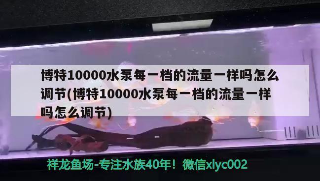 博特10000水泵每一檔的流量一樣嗎怎么調(diào)節(jié)(博特10000水泵每一檔的流量一樣嗎怎么調(diào)節(jié))