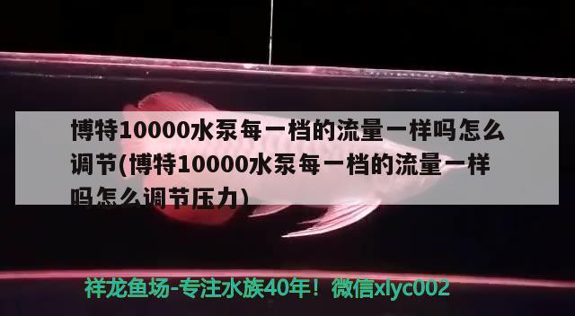 博特10000水泵每一檔的流量一樣嗎怎么調(diào)節(jié)(博特10000水泵每一檔的流量一樣嗎怎么調(diào)節(jié)壓力)