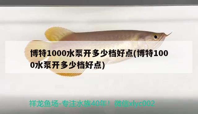 博特1000水泵開(kāi)多少檔好點(diǎn)(博特1000水泵開(kāi)多少檔好點(diǎn)) 博特水族