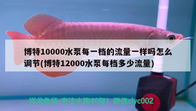 博特10000水泵每一檔的流量一樣嗎怎么調(diào)節(jié)(博特12000水泵每檔多少流量)