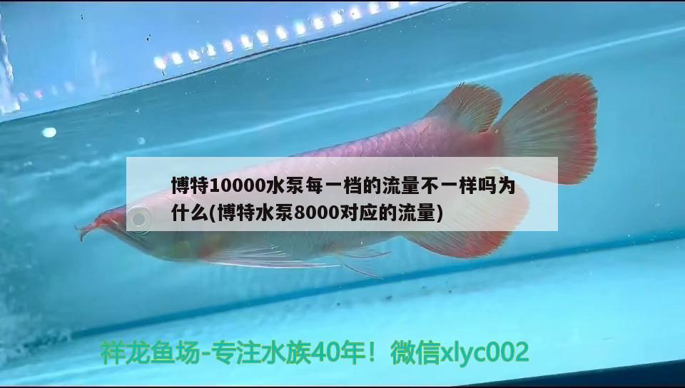 博特10000水泵每一檔的流量不一樣嗎為什么(博特水泵8000對應(yīng)的流量) 博特水族