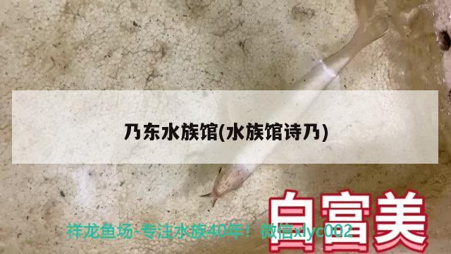 乃東水族館(水族館詩乃) 觀賞龜/鱉飼料 第2張