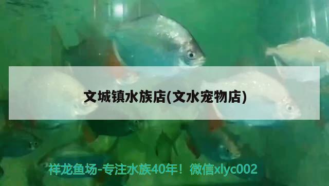 文城鎮(zhèn)水族店(文水寵物店) 水族雜談