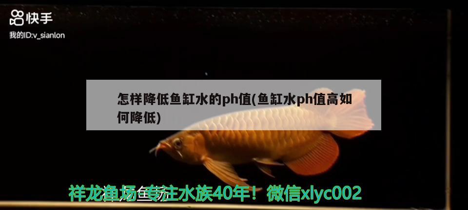 怎樣降低魚缸水的ph值(魚缸水ph值高如何降低) 狗仔（招財(cái)貓)魚苗