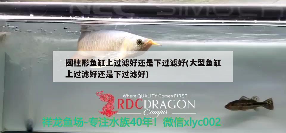 圓柱形魚缸上過濾好還是下過濾好(大型魚缸上過濾好還是下過濾好)