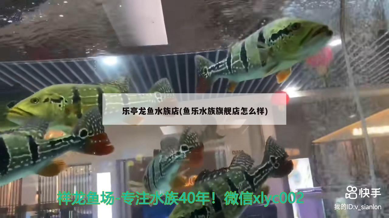 樂亭龍魚水族店(魚樂水族旗艦店怎么樣)