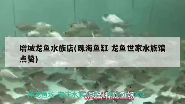 增城龍魚(yú)水族店(珠海魚(yú)缸龍魚(yú)世家水族館點(diǎn)贊) PH調(diào)節(jié)劑