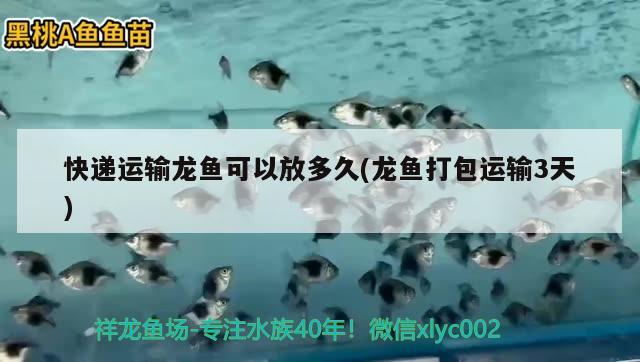 快遞運輸龍魚可以放多久(龍魚打包運輸3天)