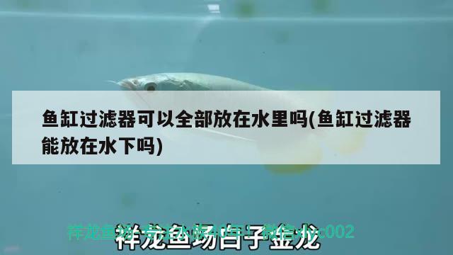 魚缸過濾器可以全部放在水里嗎(魚缸過濾器能放在水下嗎)