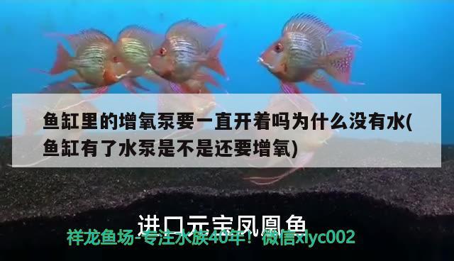 魚缸里的增氧泵要一直開著嗎為什么沒有水(魚缸有了水泵是不是還要增氧)