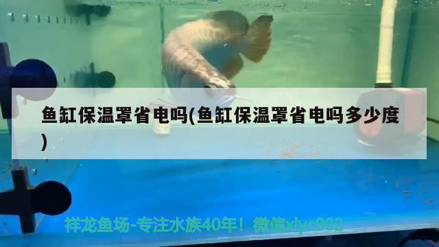 魚缸保溫罩省電嗎(魚缸保溫罩省電嗎多少度)