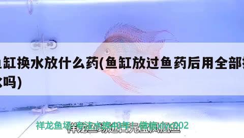 魚缸換水放什么藥(魚缸放過魚藥后用全部換水嗎) 魚缸水質穩(wěn)定劑