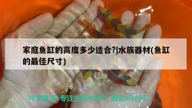 家庭魚缸的高度多少適合?|水族器材(魚缸的最佳尺寸)