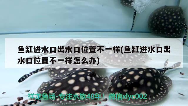 魚(yú)缸進(jìn)水口出水口位置不一樣(魚(yú)缸進(jìn)水口出水口位置不一樣怎么辦) 哥倫比亞巨暴魚(yú)苗