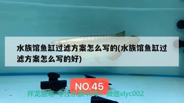 水族館魚缸過濾方案怎么寫的(水族館魚缸過濾方案怎么寫的好) 短身紅龍魚