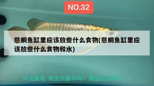 慈鯛魚缸里應該放些什么食物(慈鯛魚缸里應該放些什么食物和水) 一眉道人魚苗