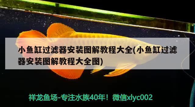 小魚缸過濾器安裝圖解教程大全(小魚缸過濾器安裝圖解教程大全圖) 水族品牌