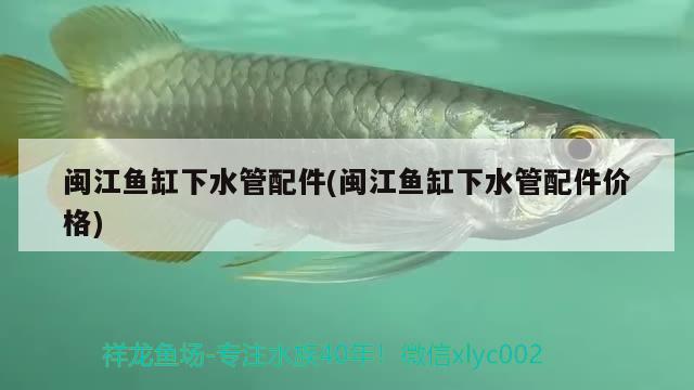 閩江魚缸下水管配件(閩江魚缸下水管配件價(jià)格) 過(guò)背金龍魚