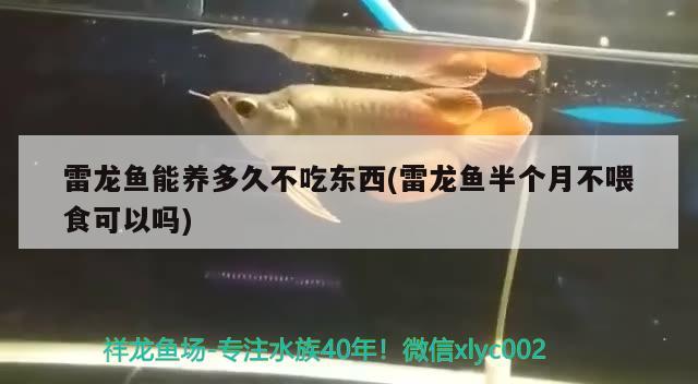 雷龍魚能養(yǎng)多久不吃東西(雷龍魚半個月不喂食可以嗎) 水溫計