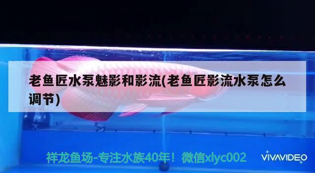 老魚匠水泵魅影和影流(老魚匠影流水泵怎么調(diào)節(jié)) 老魚匠