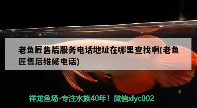 老魚匠售后服務(wù)電話地址在哪里查找啊(老魚匠售后維修電話)