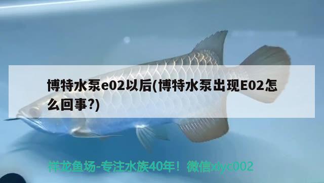 博特水泵e02以后(博特水泵出現(xiàn)E02怎么回事?) 博特水族