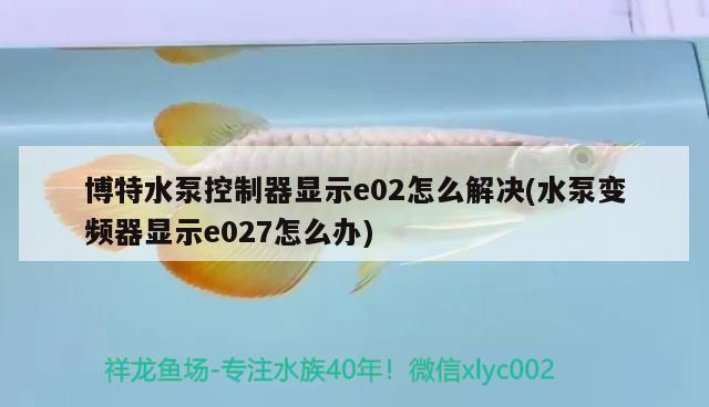 博特水泵控制器顯示e02怎么解決(水泵變頻器顯示e027怎么辦) 博特水族