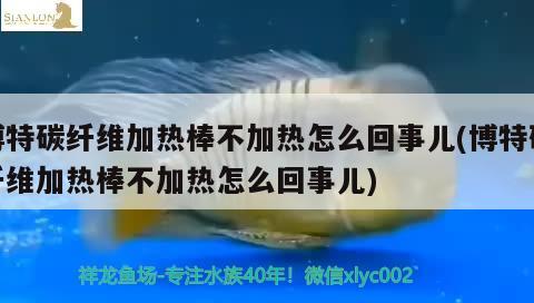 博特碳纖維加熱棒不加熱怎么回事兒(博特碳纖維加熱棒不加熱怎么回事兒) 博特水族