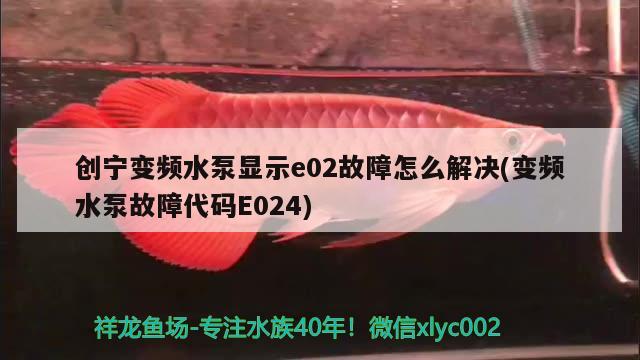 創(chuàng)寧變頻水泵顯示e02故障怎么解決(變頻水泵故障代碼E024) 創(chuàng)寧水族