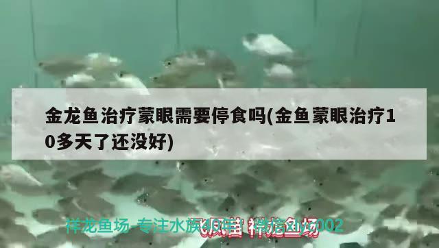 金龍魚治療蒙眼需要停食嗎(金魚蒙眼治療10多天了還沒好) 馬拉莫寶石魚