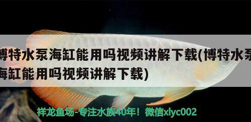 博特水泵海缸能用嗎視頻講解下載(博特水泵海缸能用嗎視頻講解下載)