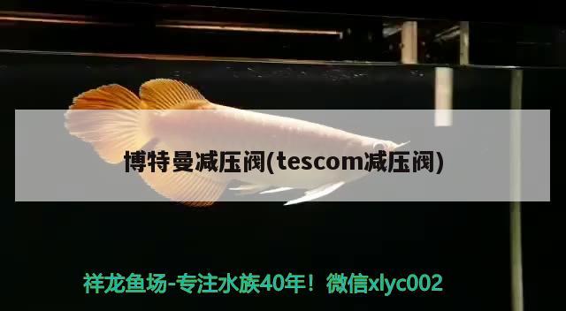 博特曼減壓閥(tescom減壓閥) 博特水族