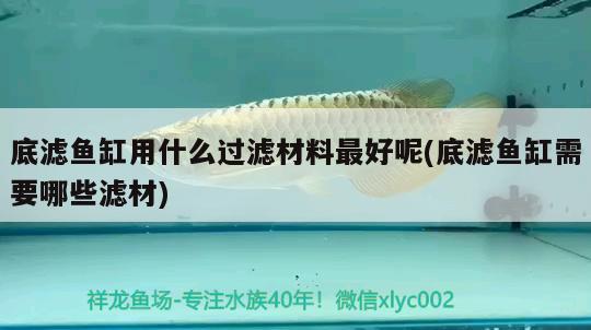 底濾魚缸用什么過濾材料最好呢(底濾魚缸需要哪些濾材)