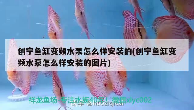 創(chuàng)寧魚缸變頻水泵怎么樣安裝的(創(chuàng)寧魚缸變頻水泵怎么樣安裝的圖片) 創(chuàng)寧水族