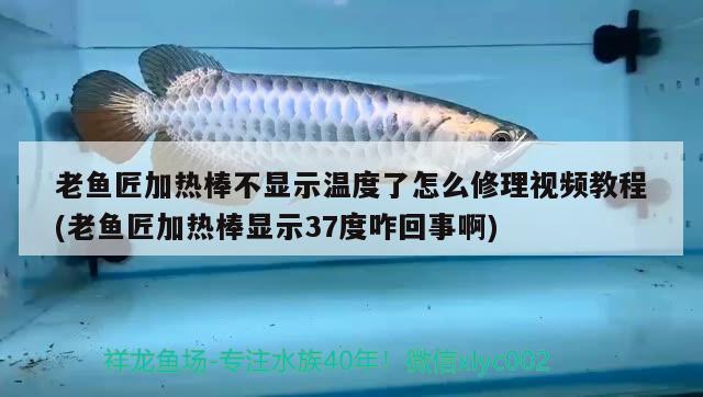 老魚匠加熱棒不顯示溫度了怎么修理視頻教程(老魚匠加熱棒顯示37度咋回事啊) 老魚匠