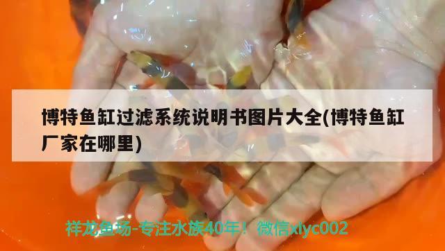 博特魚缸過濾系統(tǒng)說明書圖片大全(博特魚缸廠家在哪里)