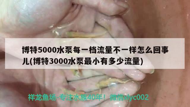 博特5000水泵每一檔流量不一樣怎么回事兒(博特3000水泵最小有多少流量)